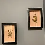 Appartamento Kepina Zdroj Z Basenem I Ogniskiem Na Jurze