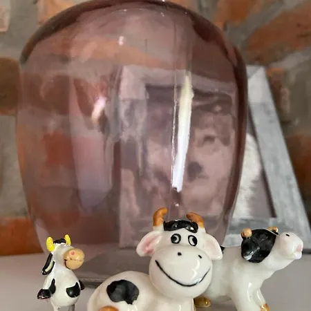 Apartmán Siedlisko Kepina Zdroj Ostrow (Myszkow)