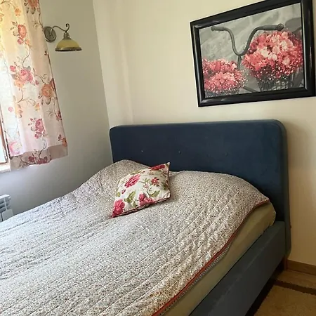 Apartment Siedlisko Kepina Zdroj Ostrow (Myszkow)