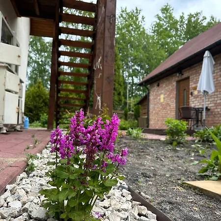 Siedlisko Kepina Zdroj Apartment *