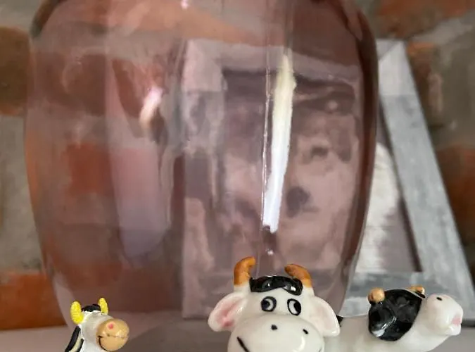 Apartment Kepina Zdroj Z Basenem I Ogniskiem Na Jurze Ostrow (Myszkow)