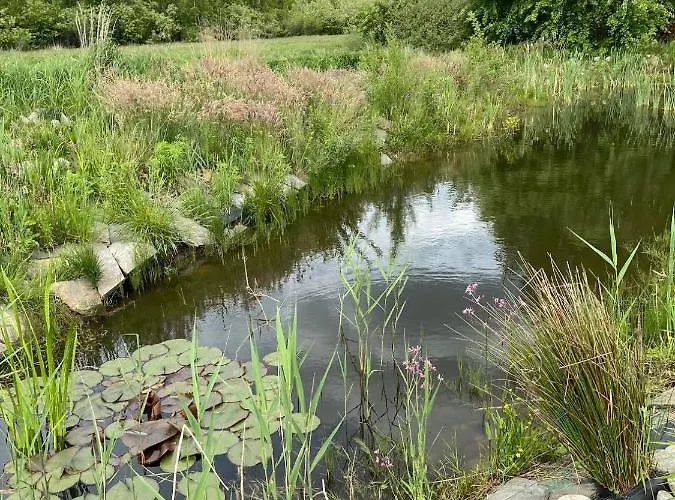 Siedlisko Kepina Zdroj * Ostrow (Myszkow)