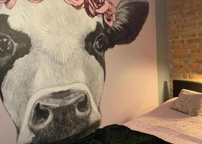 Siedlisko Kepina Zdroj Ostrow (Myszkow)